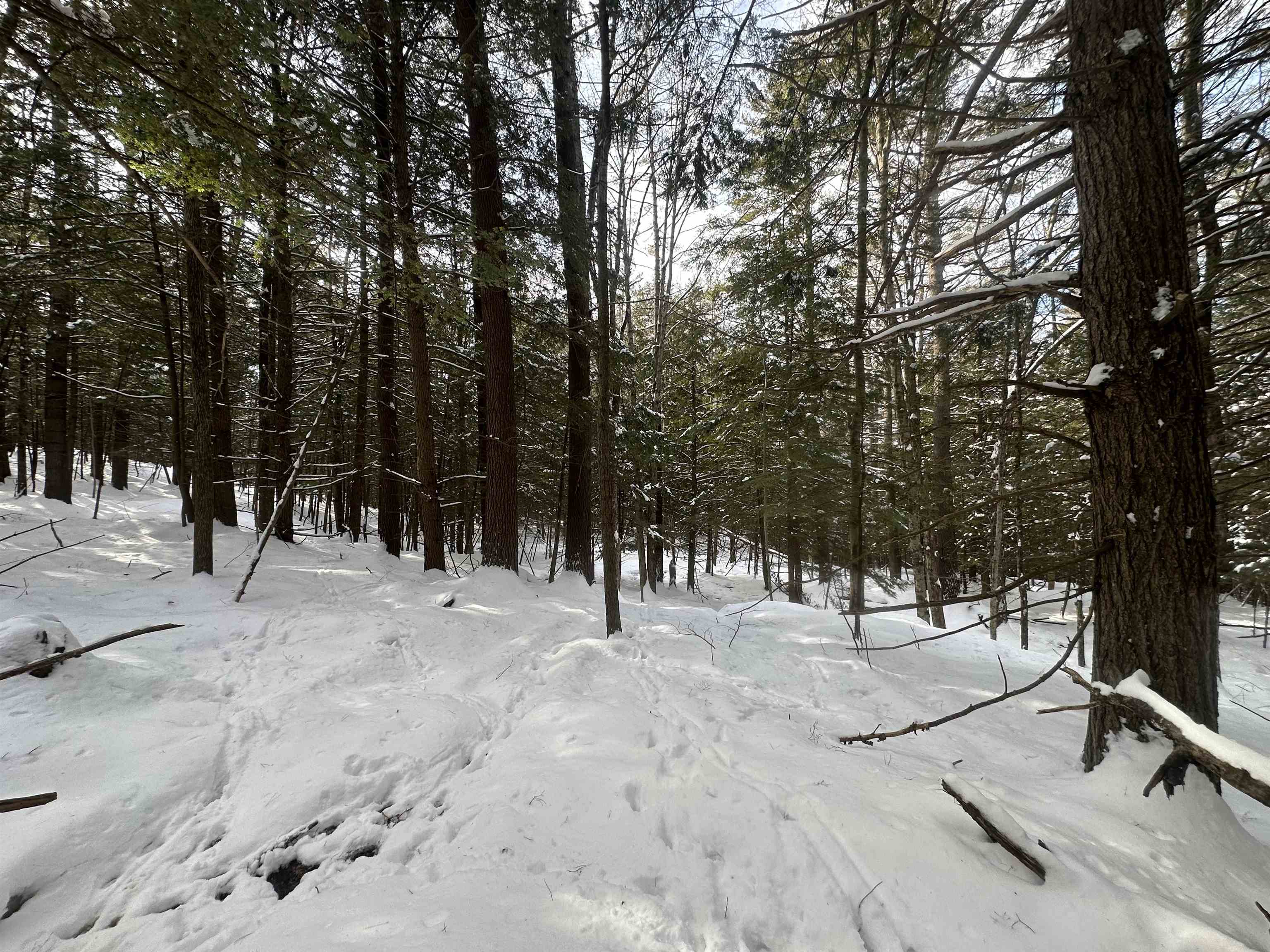 0 Bayley Way, Unit 5203 Quechee, VT 05059 - Photo 11 of 15