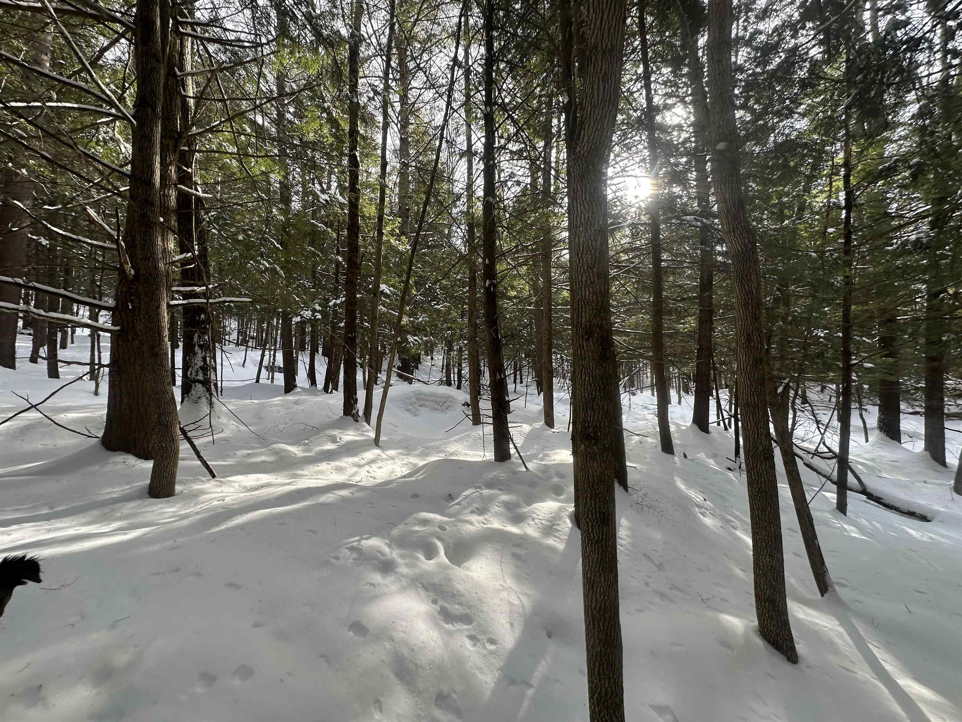 0 Bayley Way, Unit 5203 Quechee, VT 05059 - Photo 12 of 15