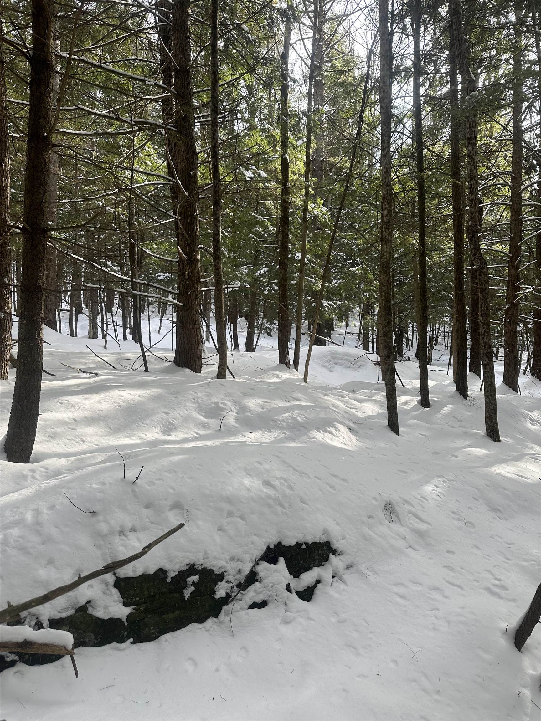 0 Bayley Way, Unit 5203 Quechee, VT 05059 - Photo 13 of 15