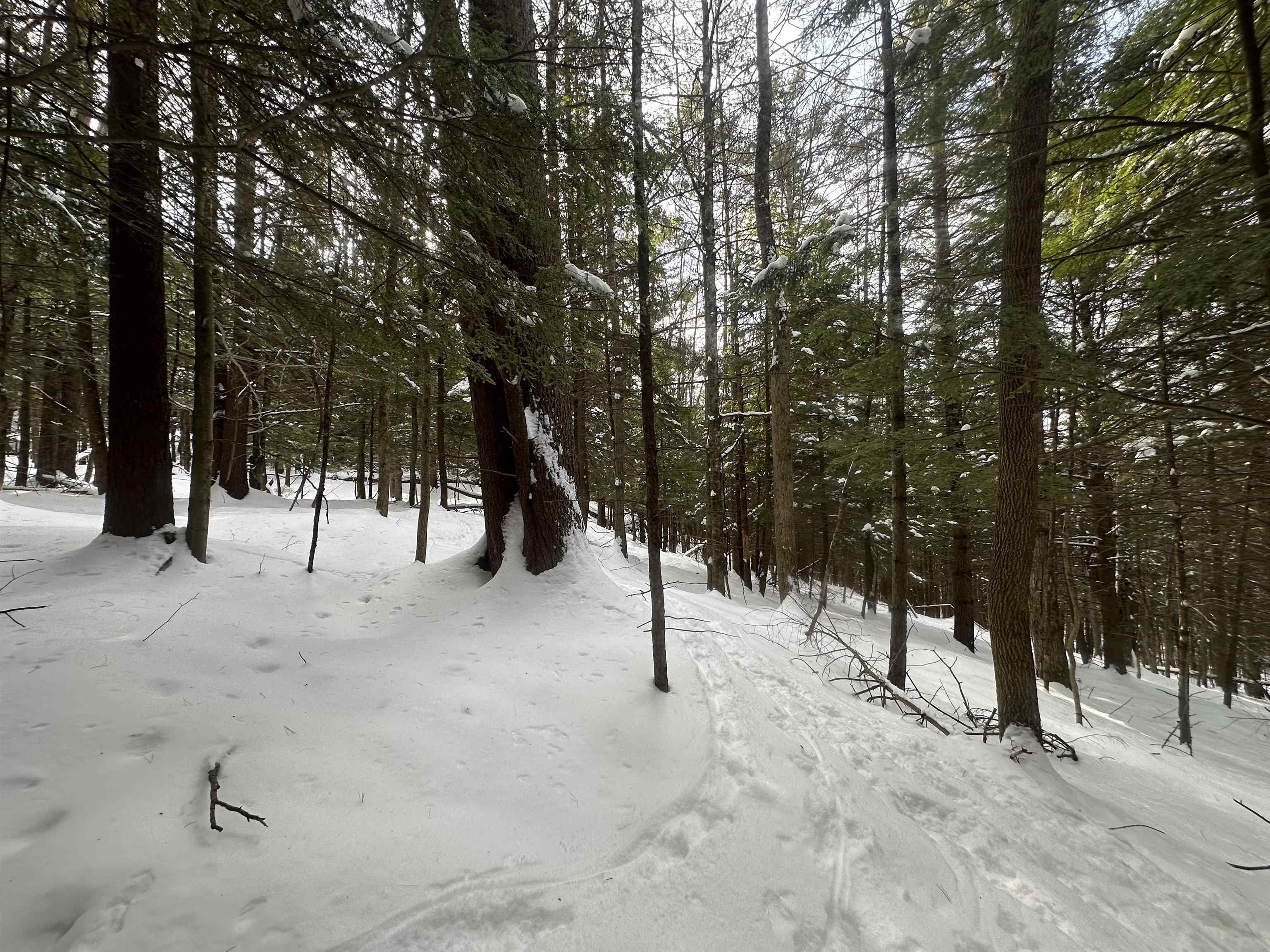 0 Bayley Way, Unit 5203 Quechee, VT 05059 - Photo 14 of 15