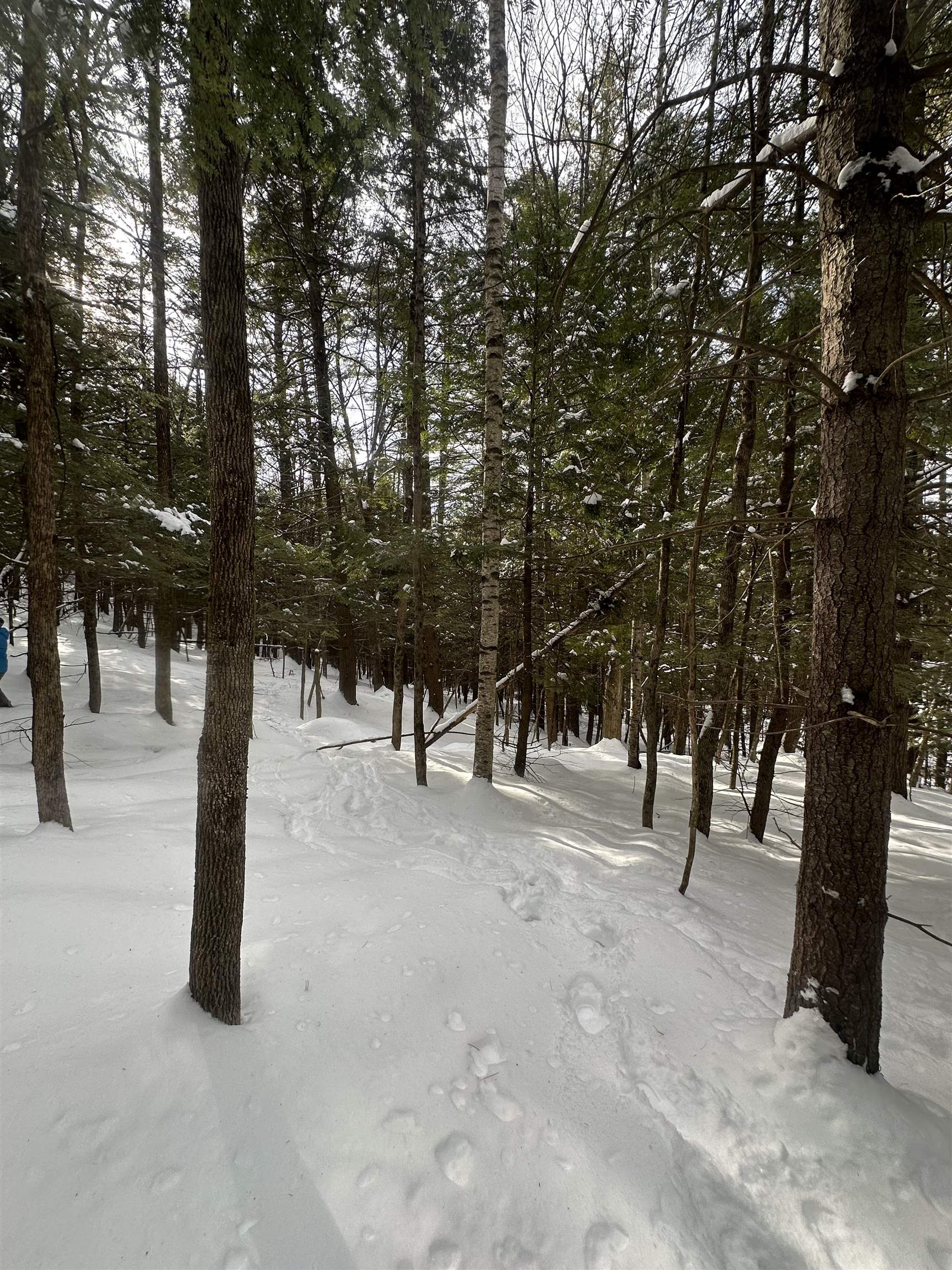 0 Bayley Way, Unit 5203 Quechee, VT 05059 - Photo 15 of 15