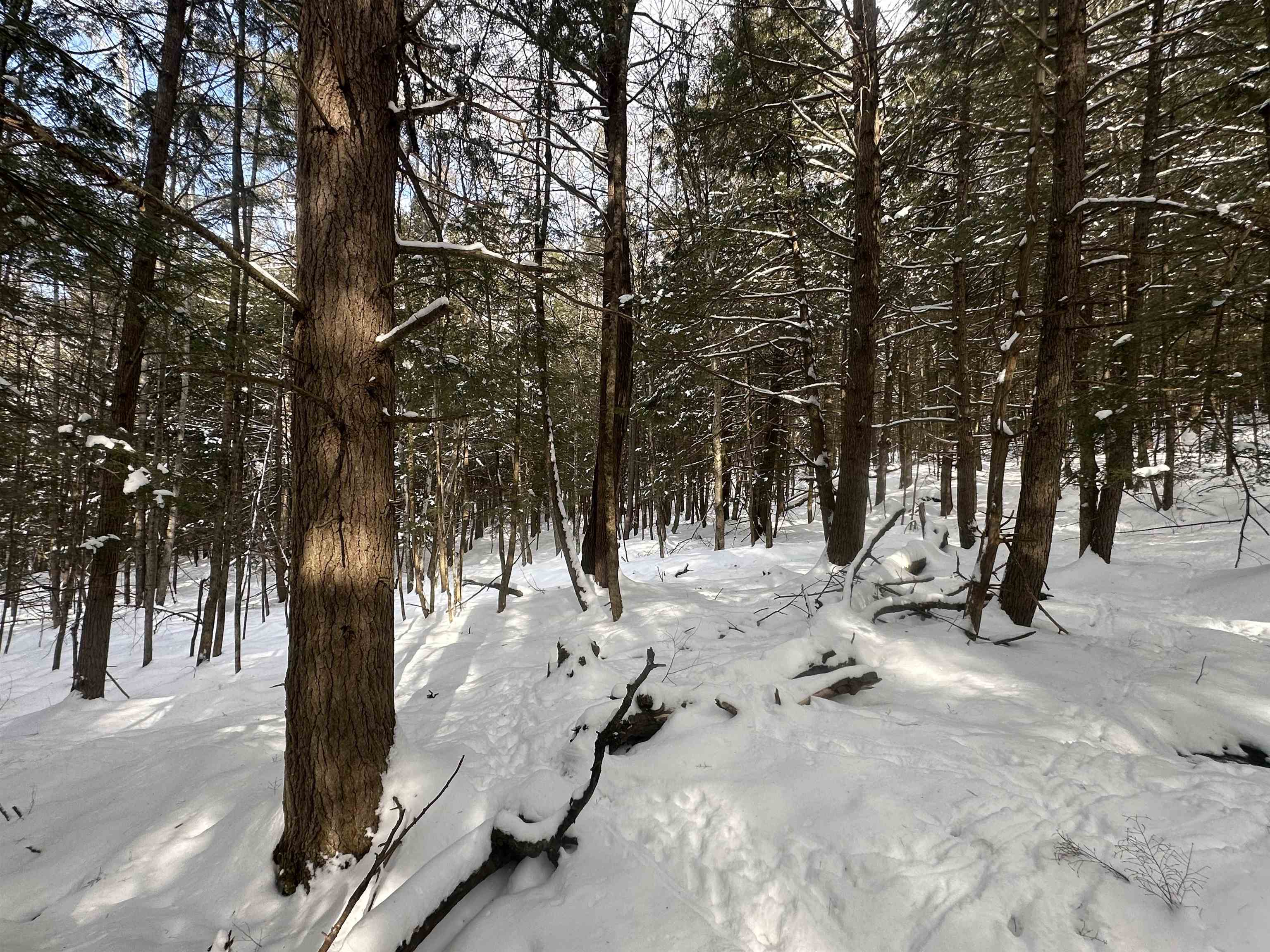 0 Bayley Way, Unit 5203 Quechee, VT 05059 - Photo 2 of 15