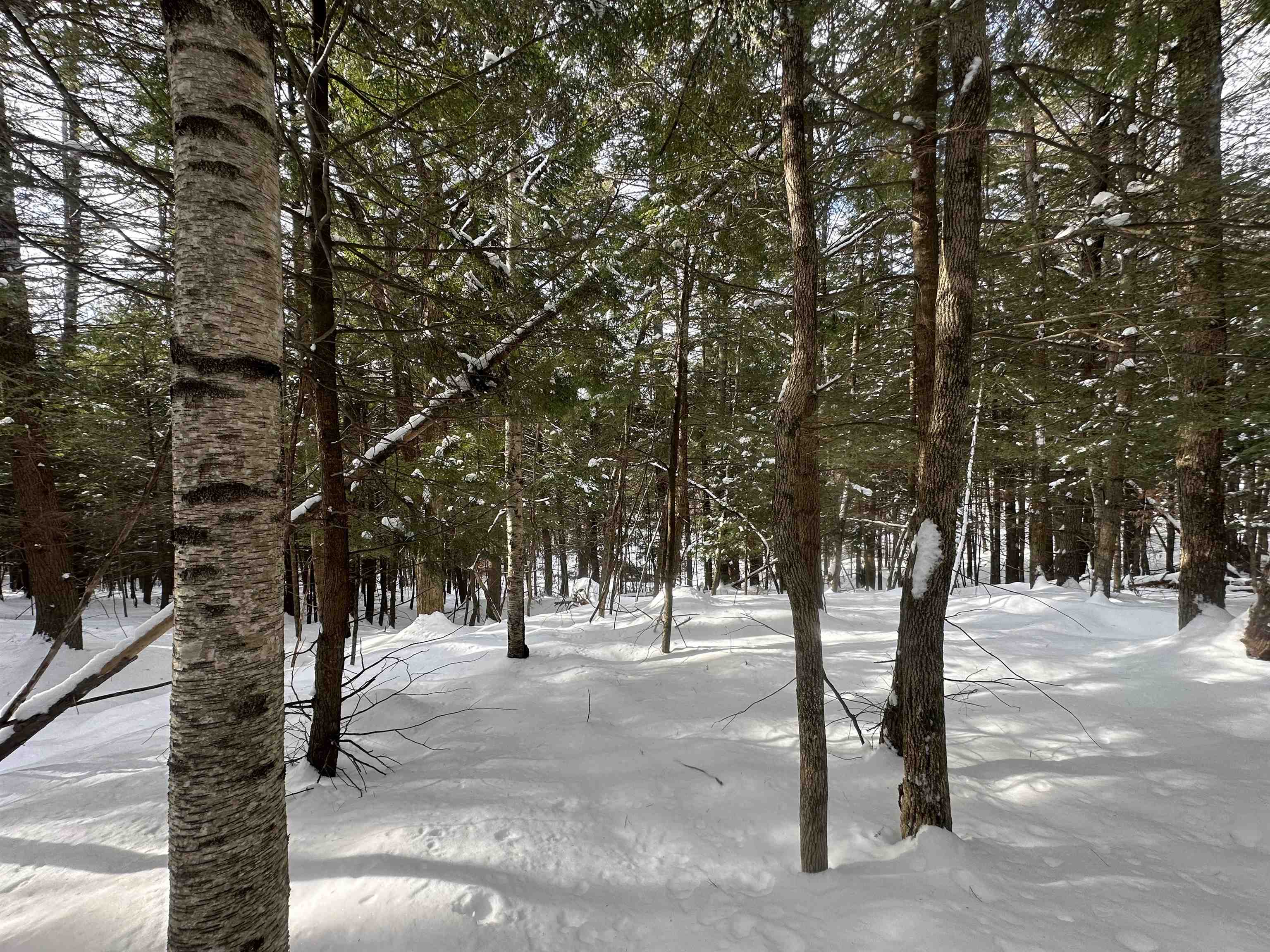 0 Bayley Way, Unit 5203 Quechee, VT 05059 - Photo 3 of 15