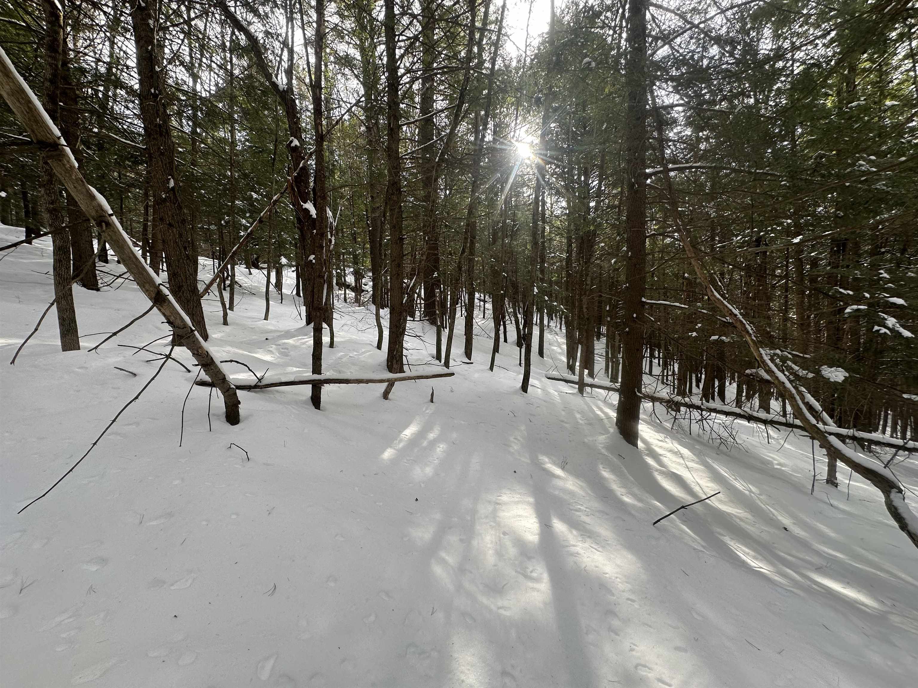 0 Bayley Way, Unit 5203 Quechee, VT 05059 - Photo 4 of 15