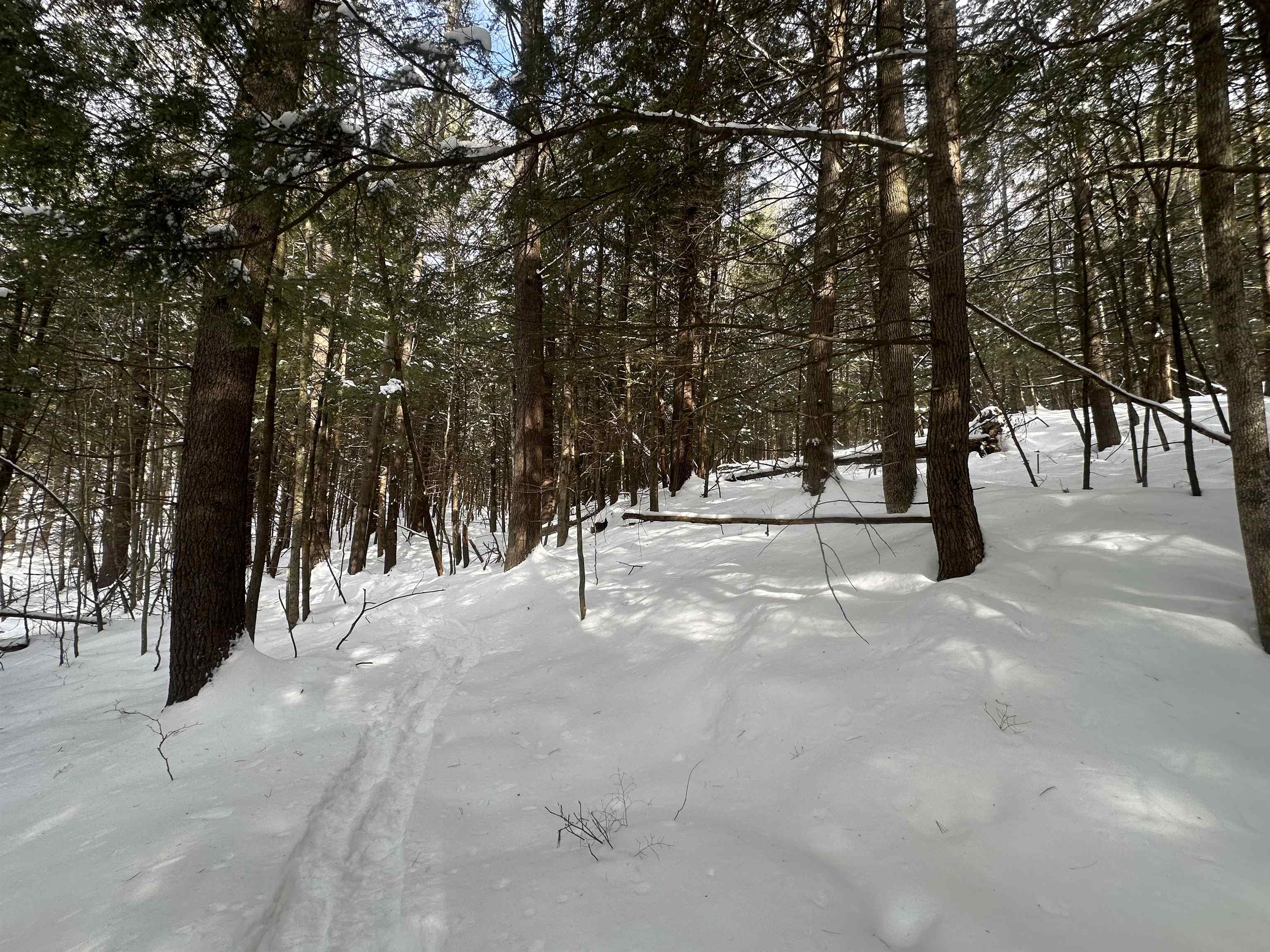 0 Bayley Way, Unit 5203 Quechee, VT 05059 - Photo 6 of 15