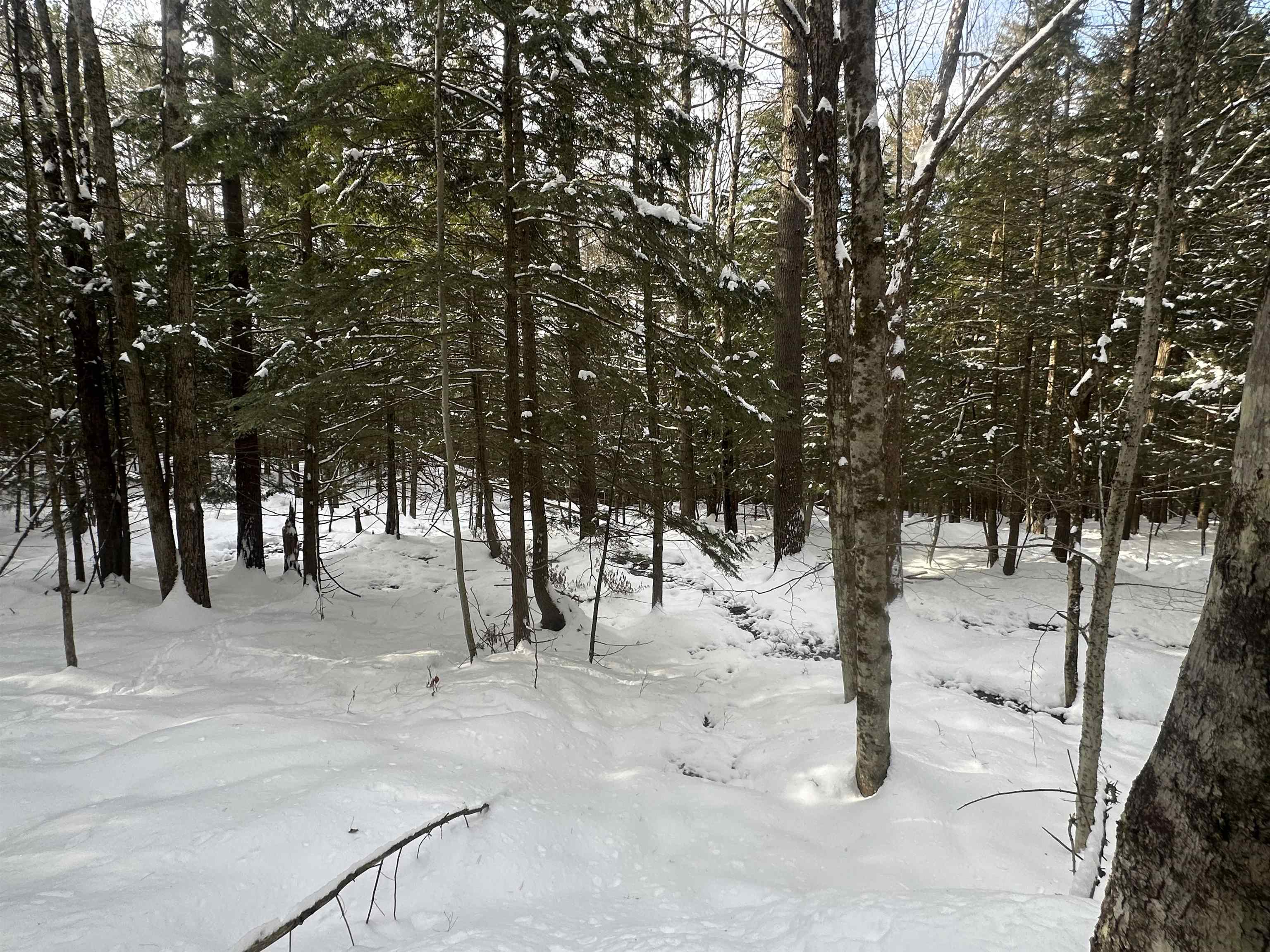 0 Bayley Way, Unit 5203 Quechee, VT 05059 - Photo 10 of 15