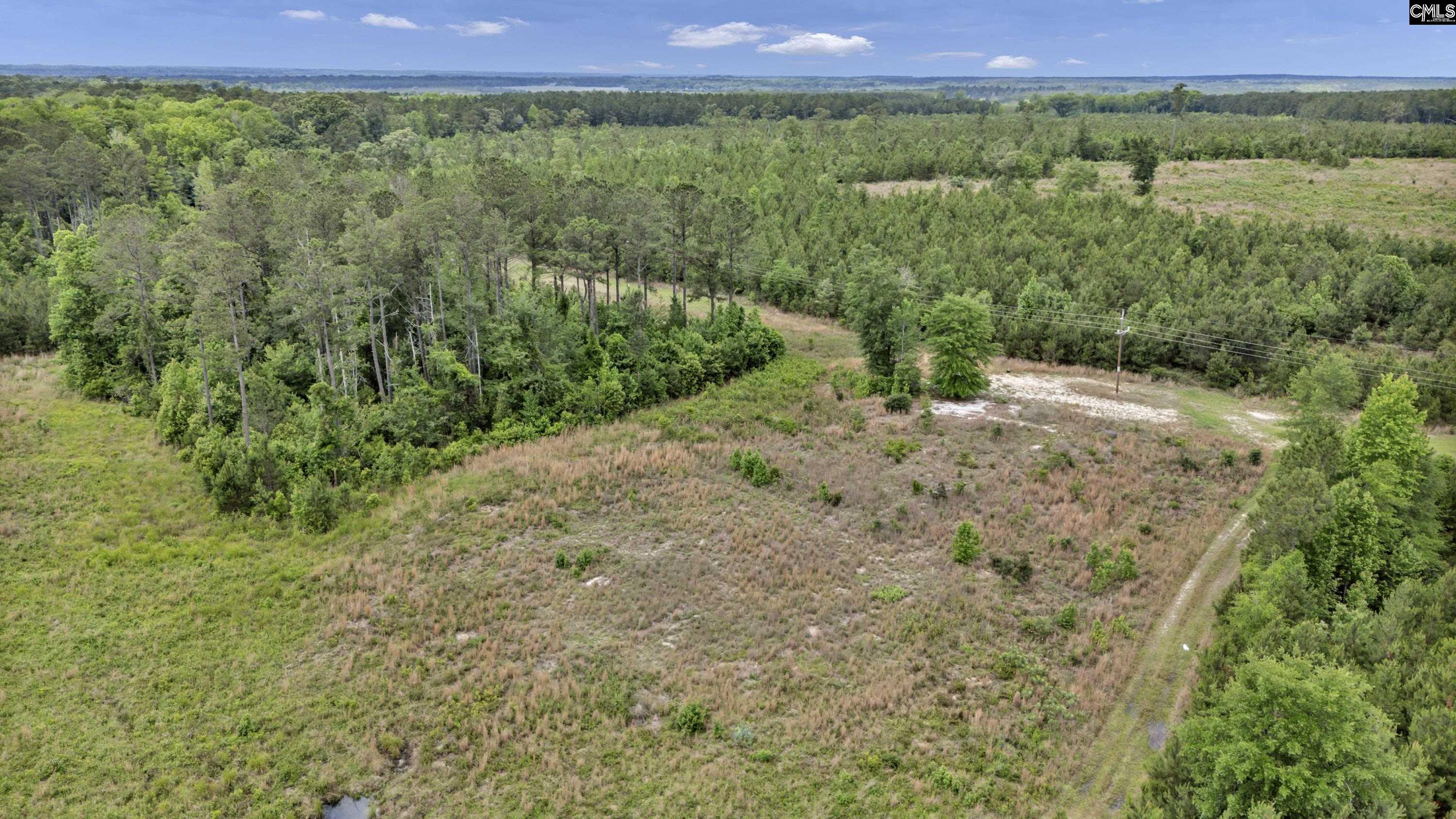 Na Bull Swamp Road North, SC 29112 - Photo 16 of 28