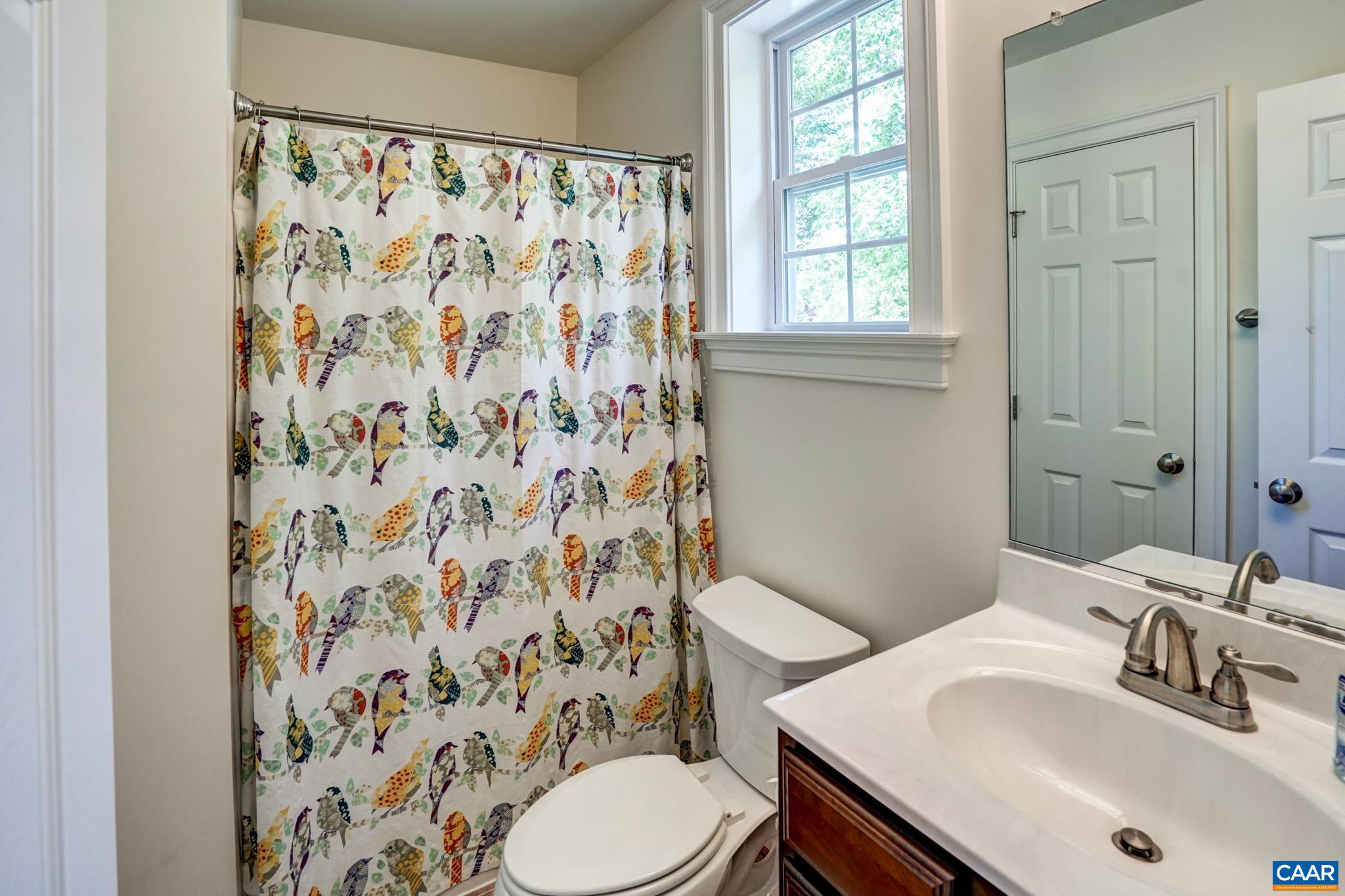 5316 Raven Stone Road Crozet, VA 22932 - Photo 42 of 71 a bathroom with a sink toilet and shower