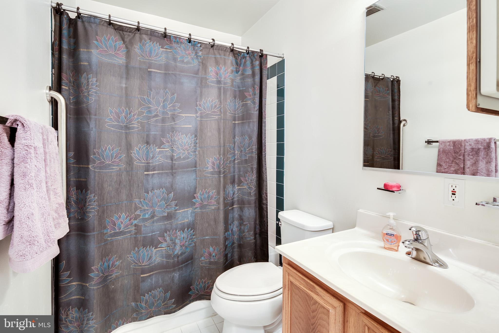 17532 Country View Way Mount Airy, MD 21771 - Photo 32 of 68 BATH