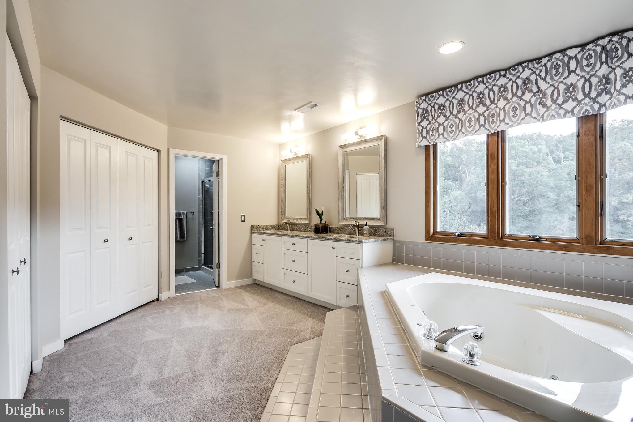 17532 Country View Way Mount Airy, MD 21771 - Photo 39 of 68 MASTER BATH