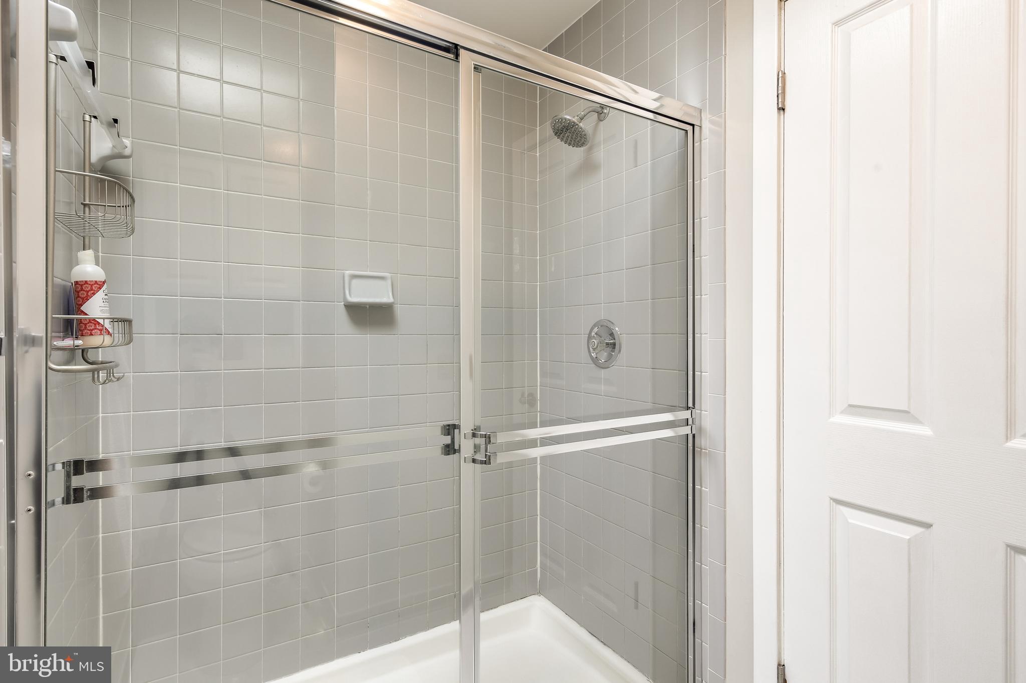 17532 Country View Way Mount Airy, MD 21771 - Photo 40 of 68 MASTER BATH