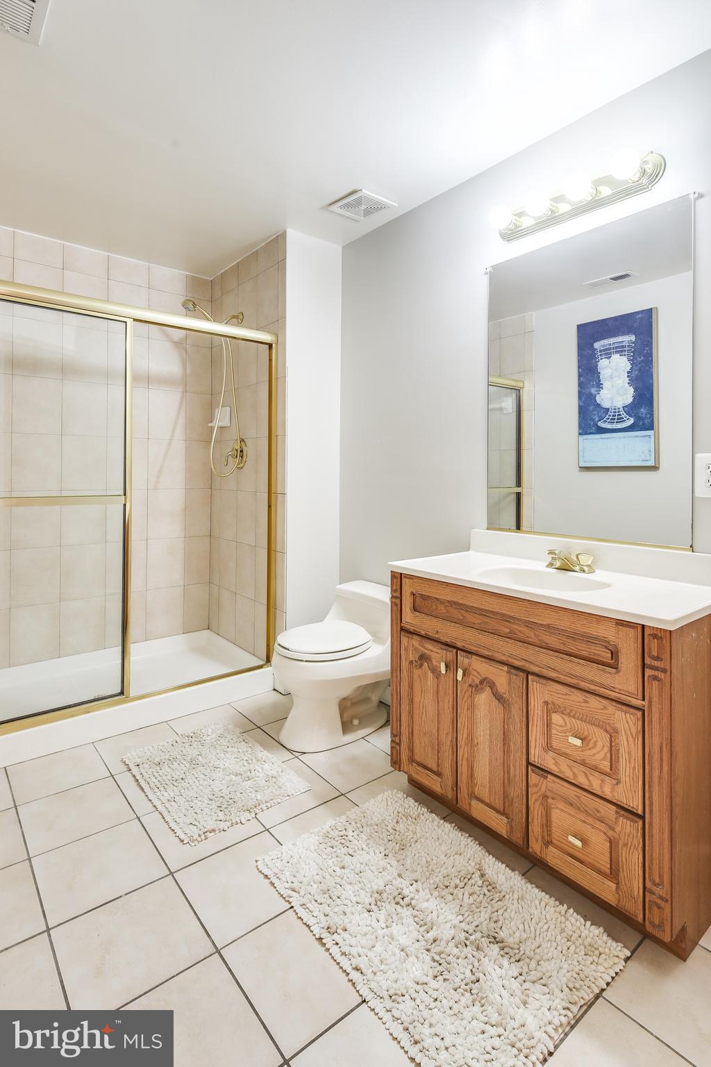 17532 Country View Way Mount Airy, MD 21771 - Photo 44 of 68 BATH