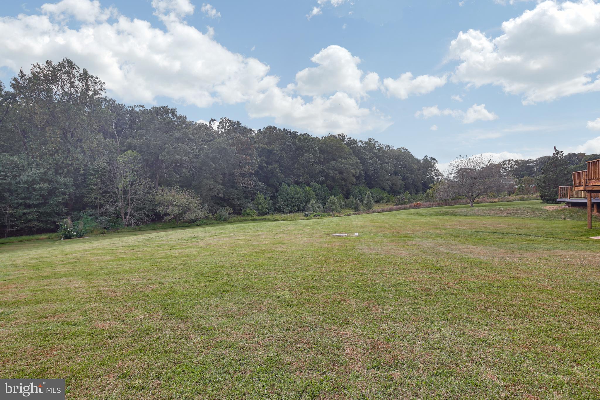 17532 Country View Way Mount Airy, MD 21771 - Photo 58 of 68