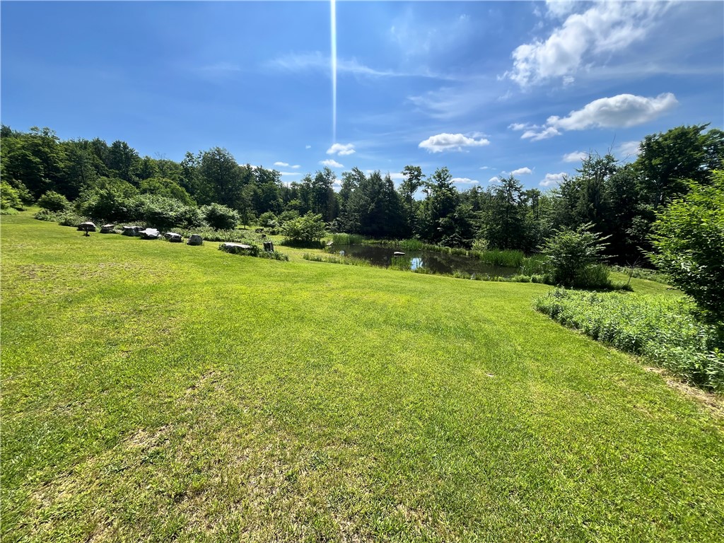 882 Alma Hill Road Alma, NY 14708 - Photo 41 of 46