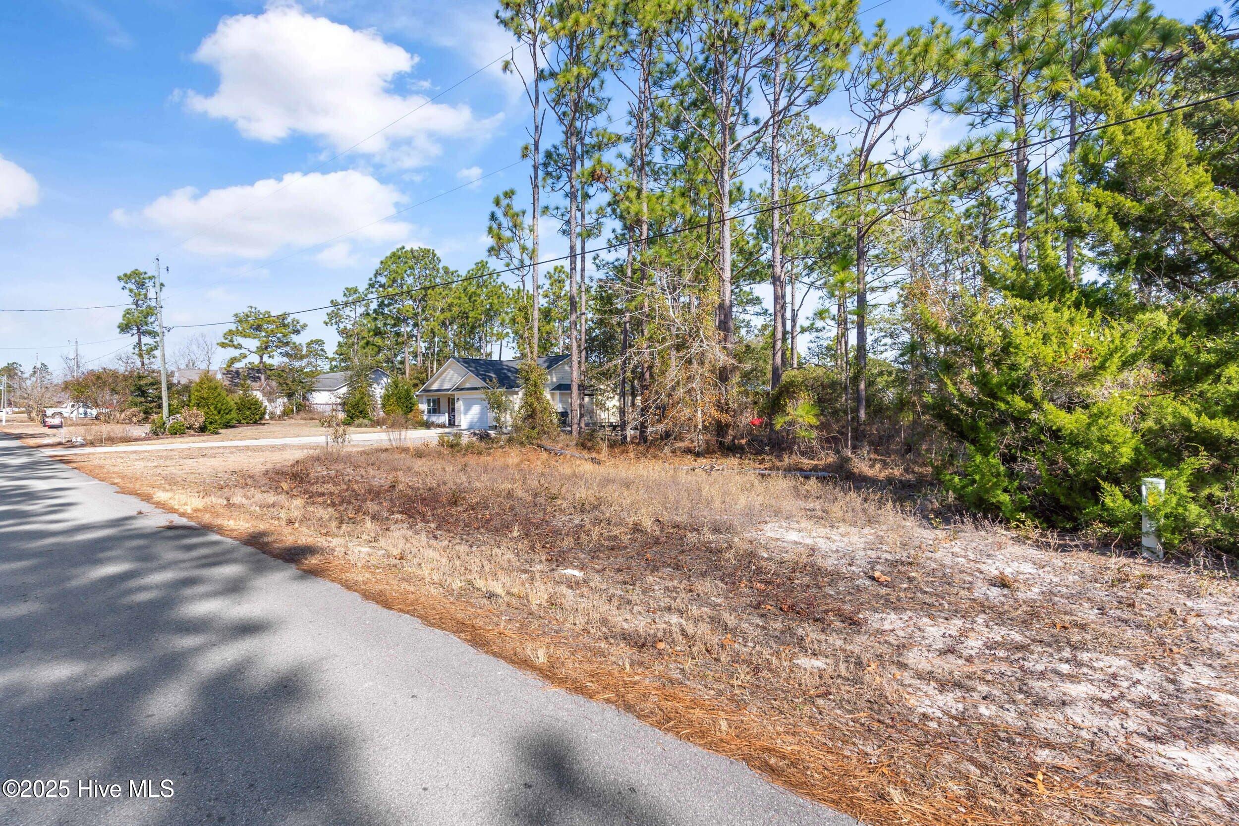 44 Ash Road Southport, NC 28461 - Photo 54 of 74 44ashrd_00042