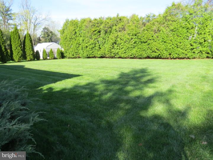 717 Chapel Road Glenside, PA 19038 - Photo 3 of 25 View in Back