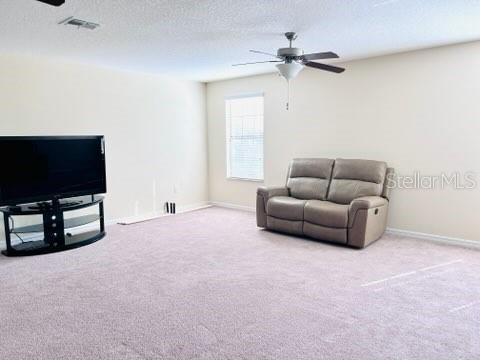 13913 Felix Will Road Riverview, FL 33579 - Photo 19 of 31