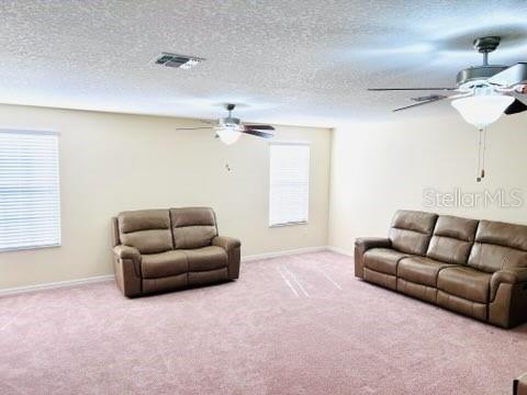 13913 Felix Will Road Riverview, FL 33579 - Photo 20 of 31