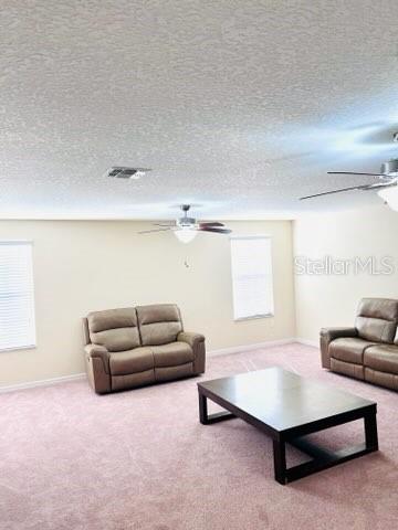 13913 Felix Will Road Riverview, FL 33579 - Photo 21 of 31