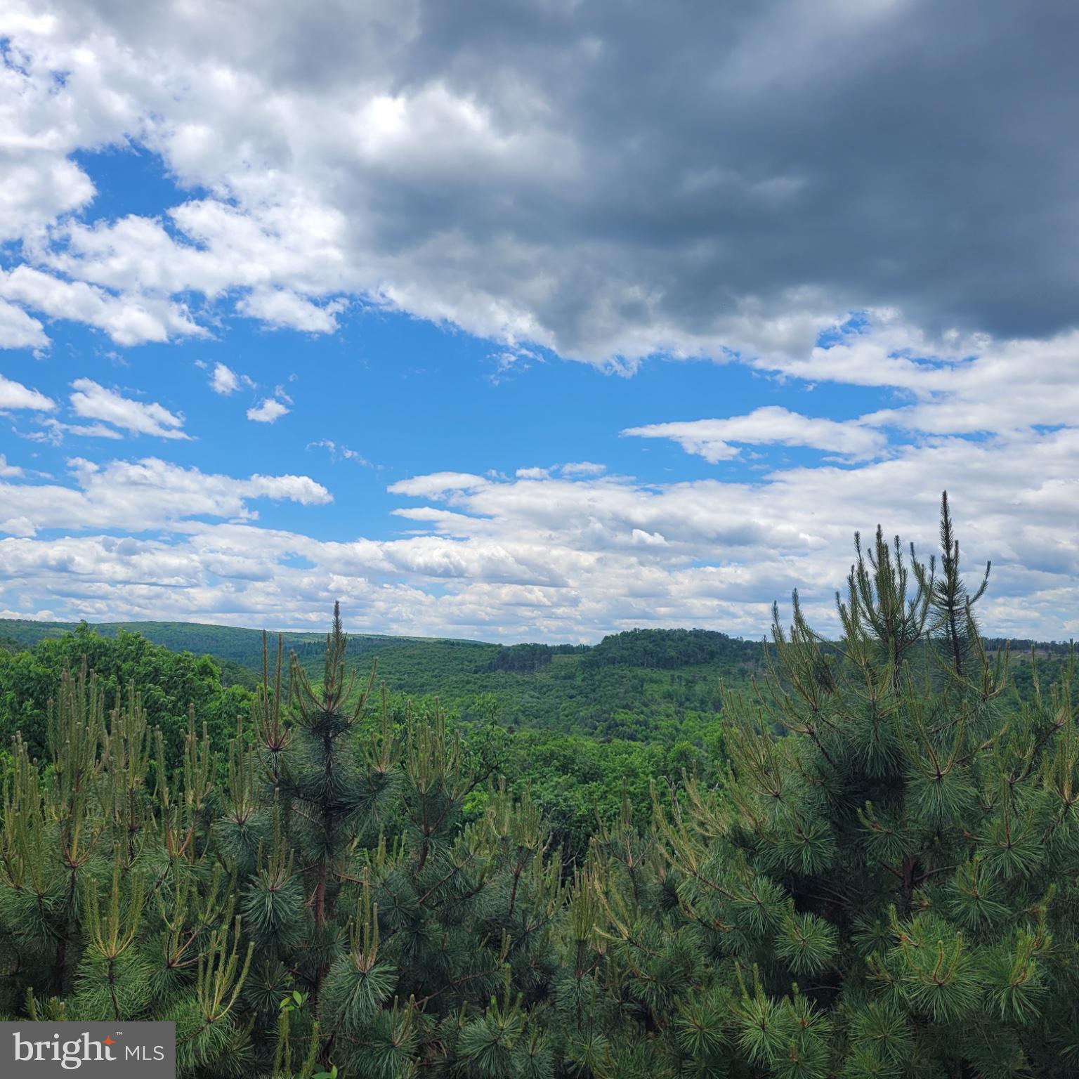729 High Mountain Road Gardners, PA 17324 - Photo 7 of 15 a view of a city with lots of trees