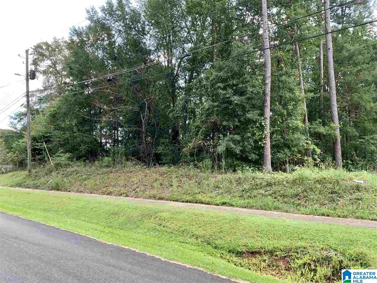 0 Spring Valley Road, Unit 1 PARCEL Anniston, AL 36207 - Photo 6 of 6