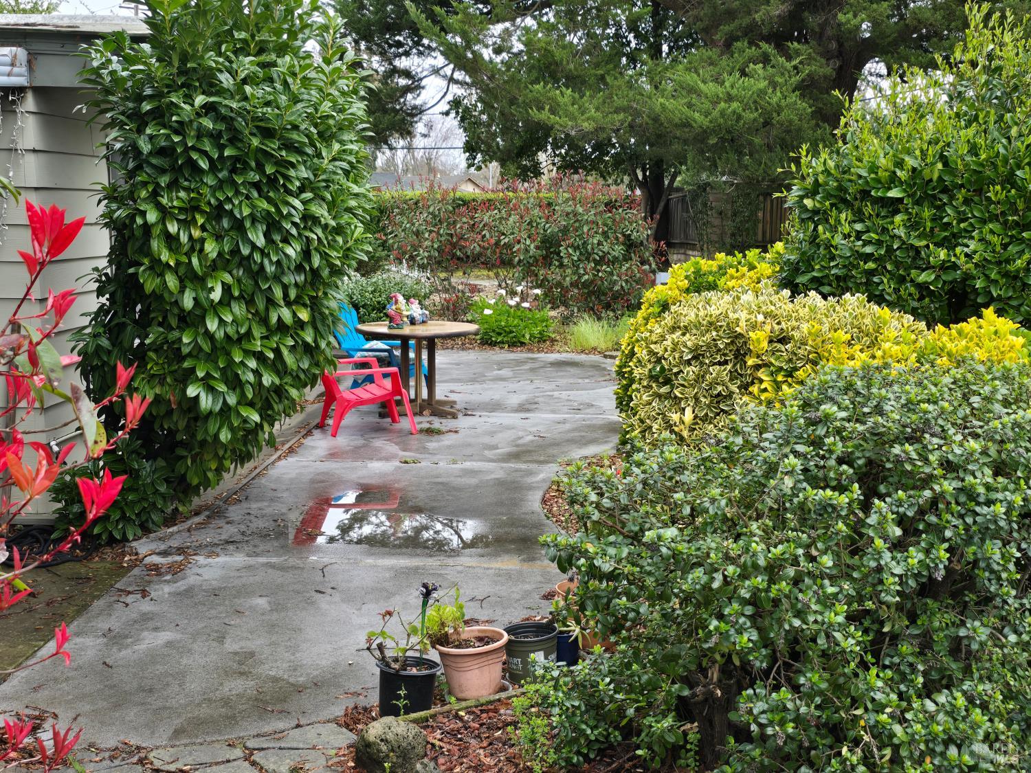 186 Sequoia Circle Santa Rosa, CA 95401 - Photo 3 of 22