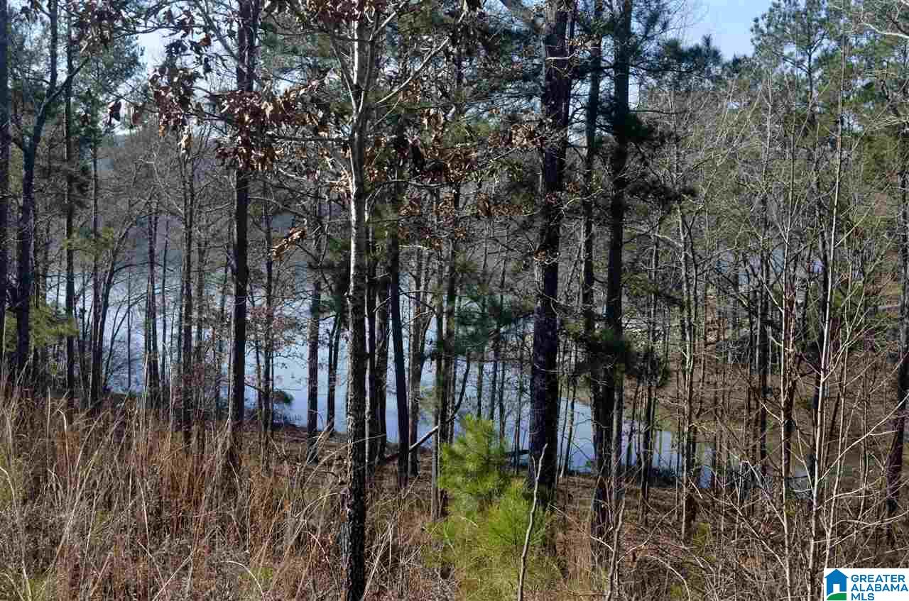 Stillwaters Trail, Unit 179 Sylacauga, AL 35151 - Photo 14 of 20