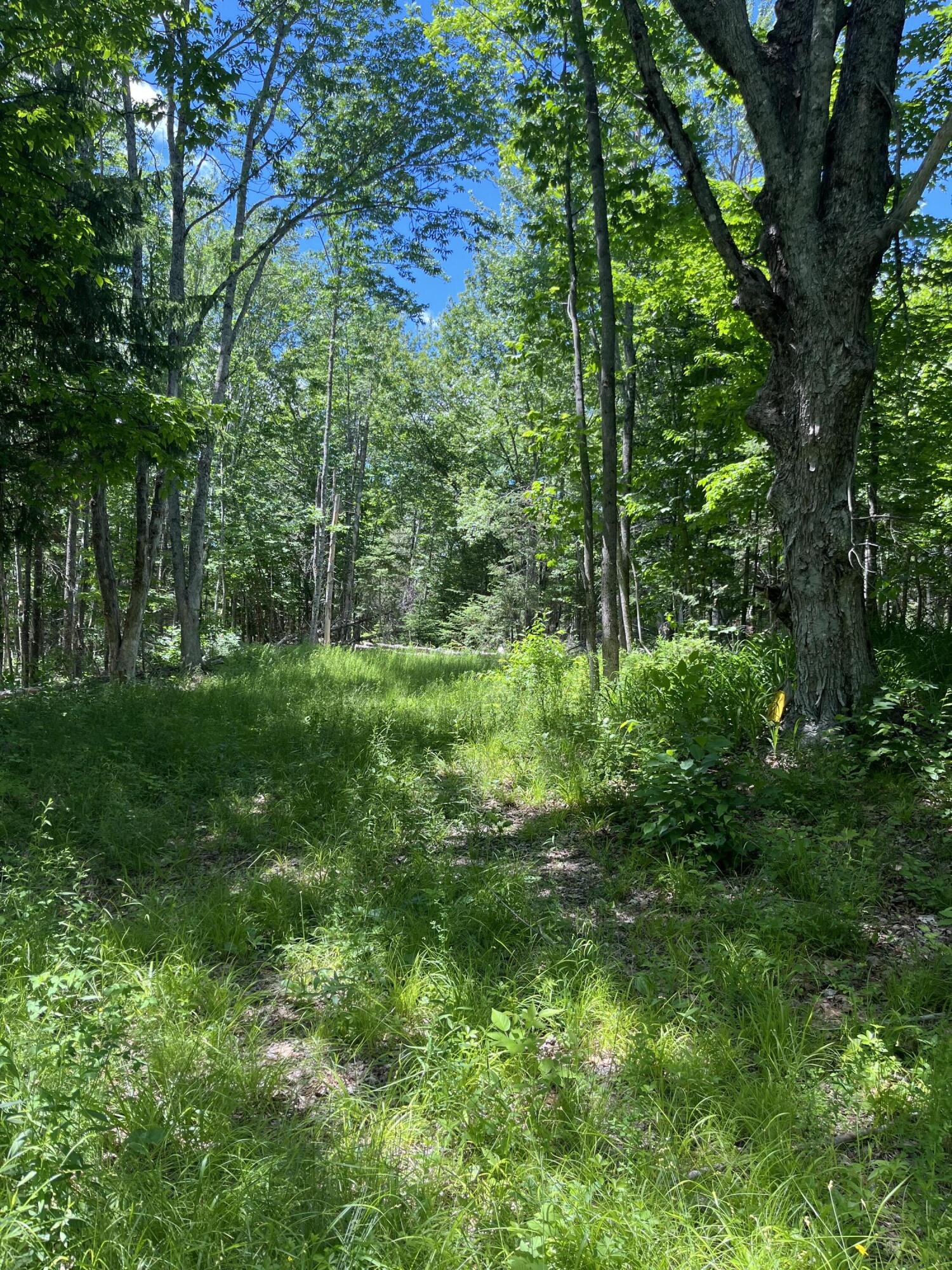 5 Fickett Road Etna, ME 04434 - Photo 6 of 23