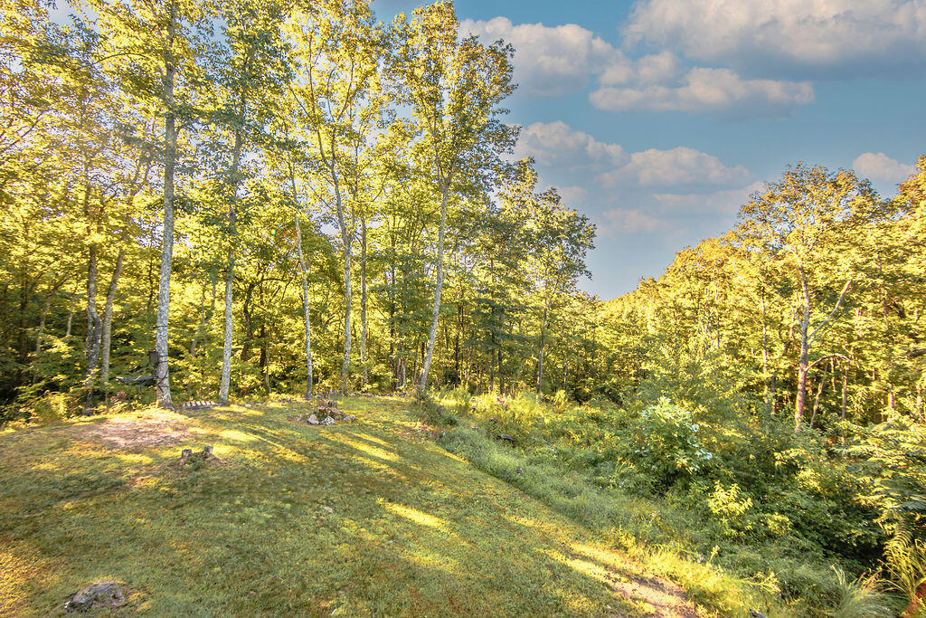 277 Grouse Ridge Road Harriman, TN 37748 - Photo 37 of 38 B68D02FF-1A34-4B06-B8DB-5403EA33C8BC