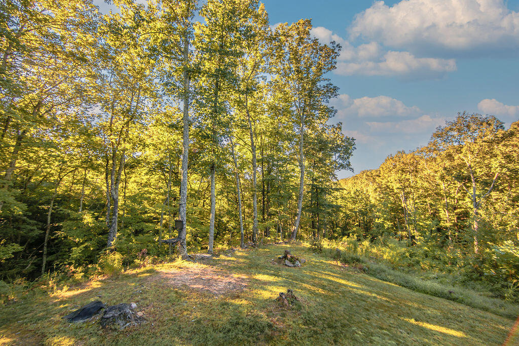 277 Grouse Ridge Road Harriman, TN 37748 - Photo 38 of 38 1406B2AB-B024-450A-BAA2-11CC59CB554A