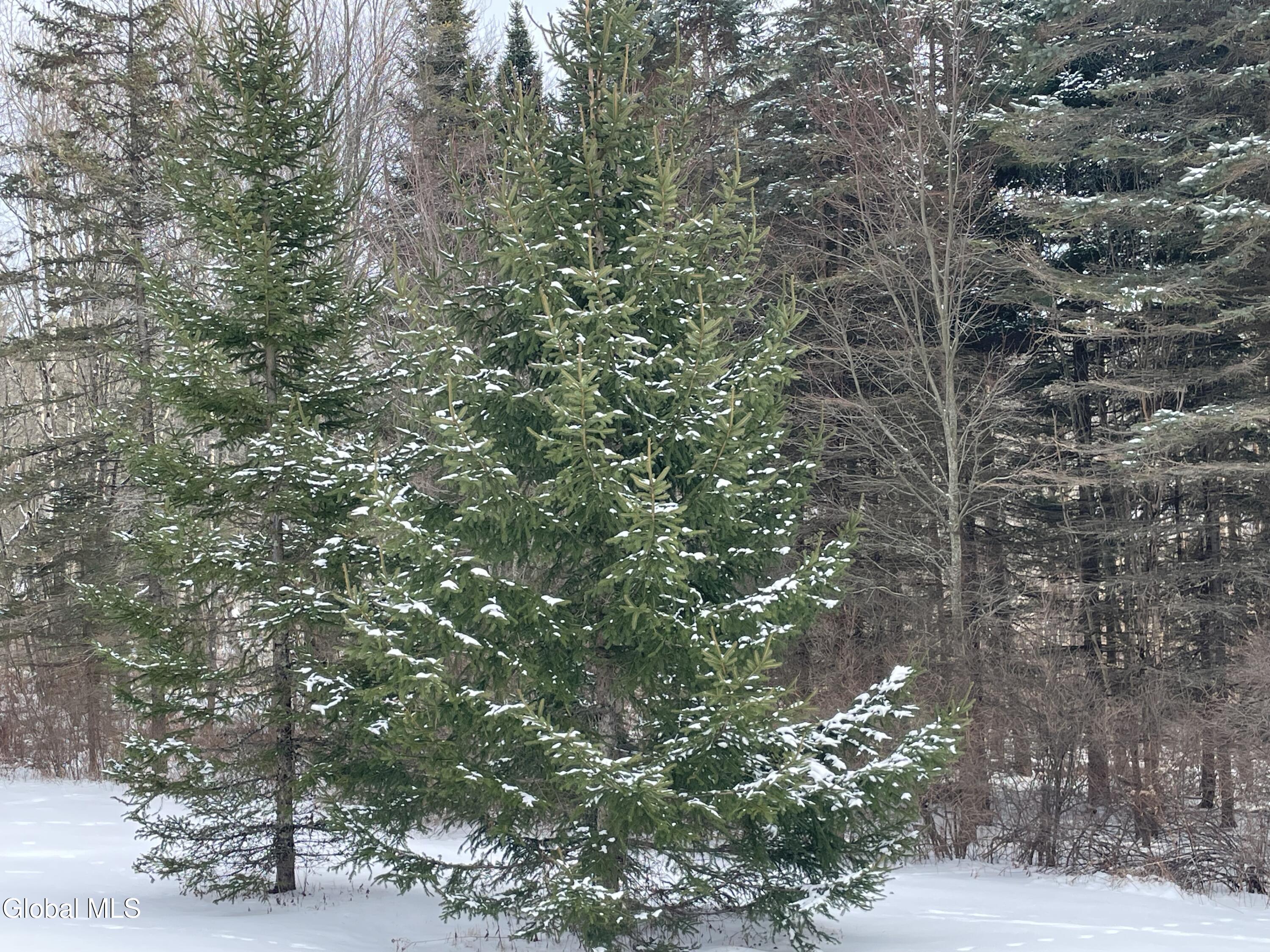 382 Old Road Grafton, NY 12052 - Photo 71 of 75 view