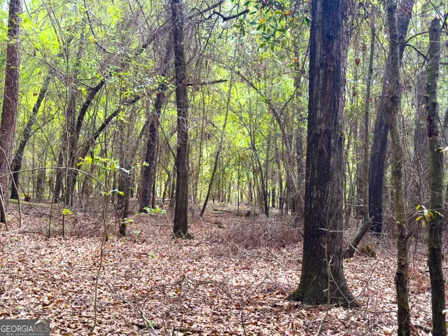 a backyard of a house with lots of trees