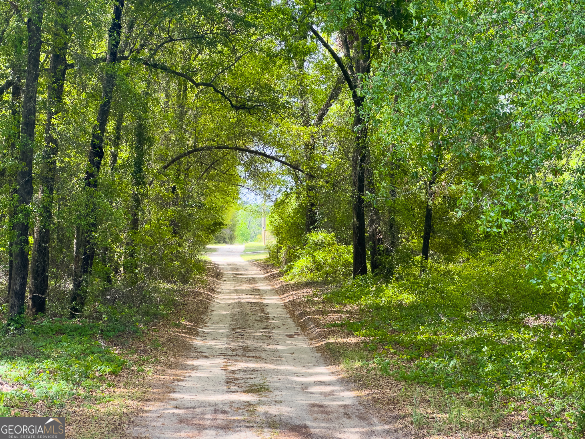 0 Shell Bluff Country Estates Waynesboro, GA 30830 - Photo 7 of 9 a view of yard with green space
