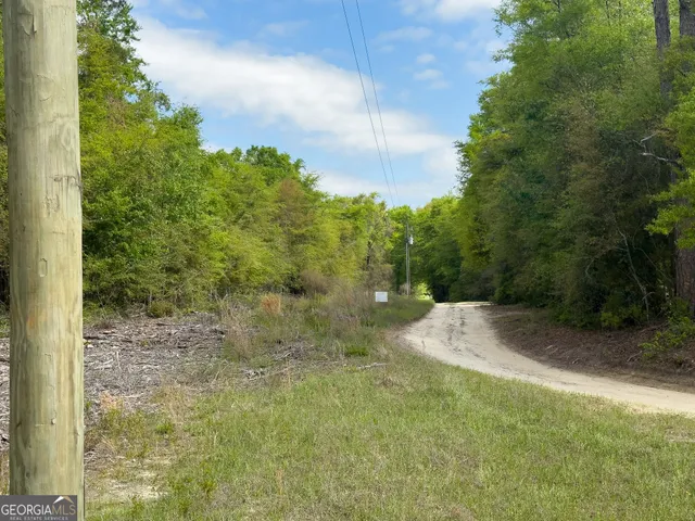 a view of a yard with plants and trees