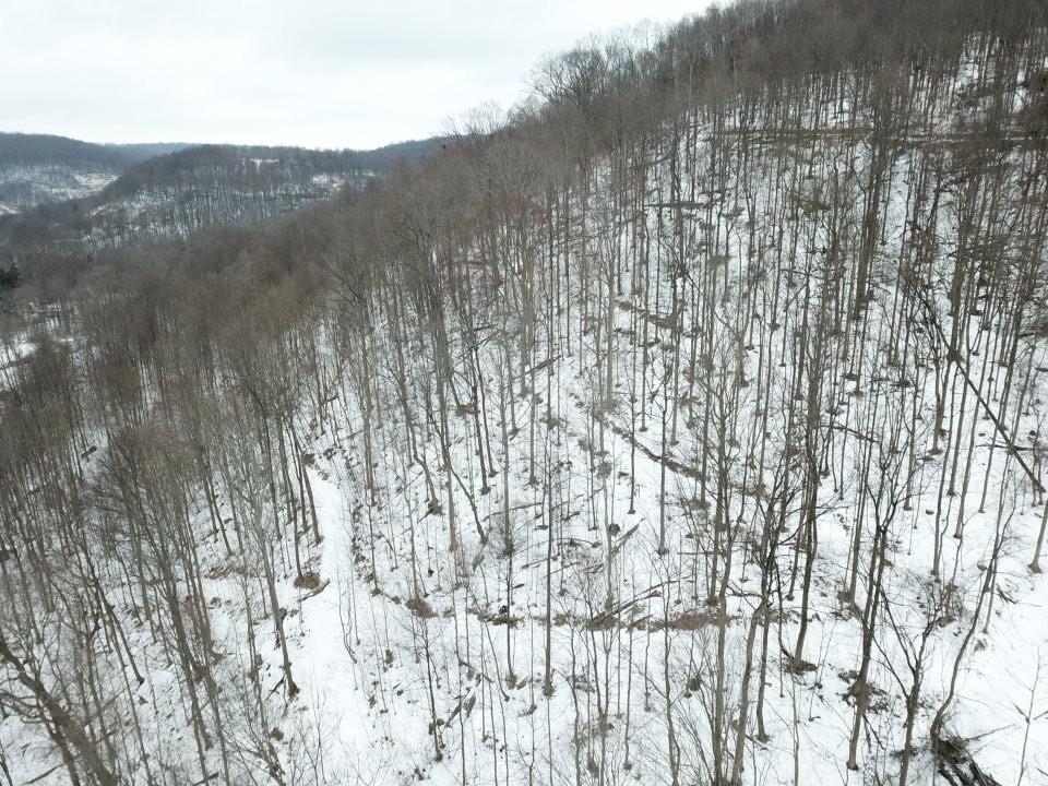 0 Jericho Road Robinson, PA 15949 - Photo 28 of 34 Gallery Image 28