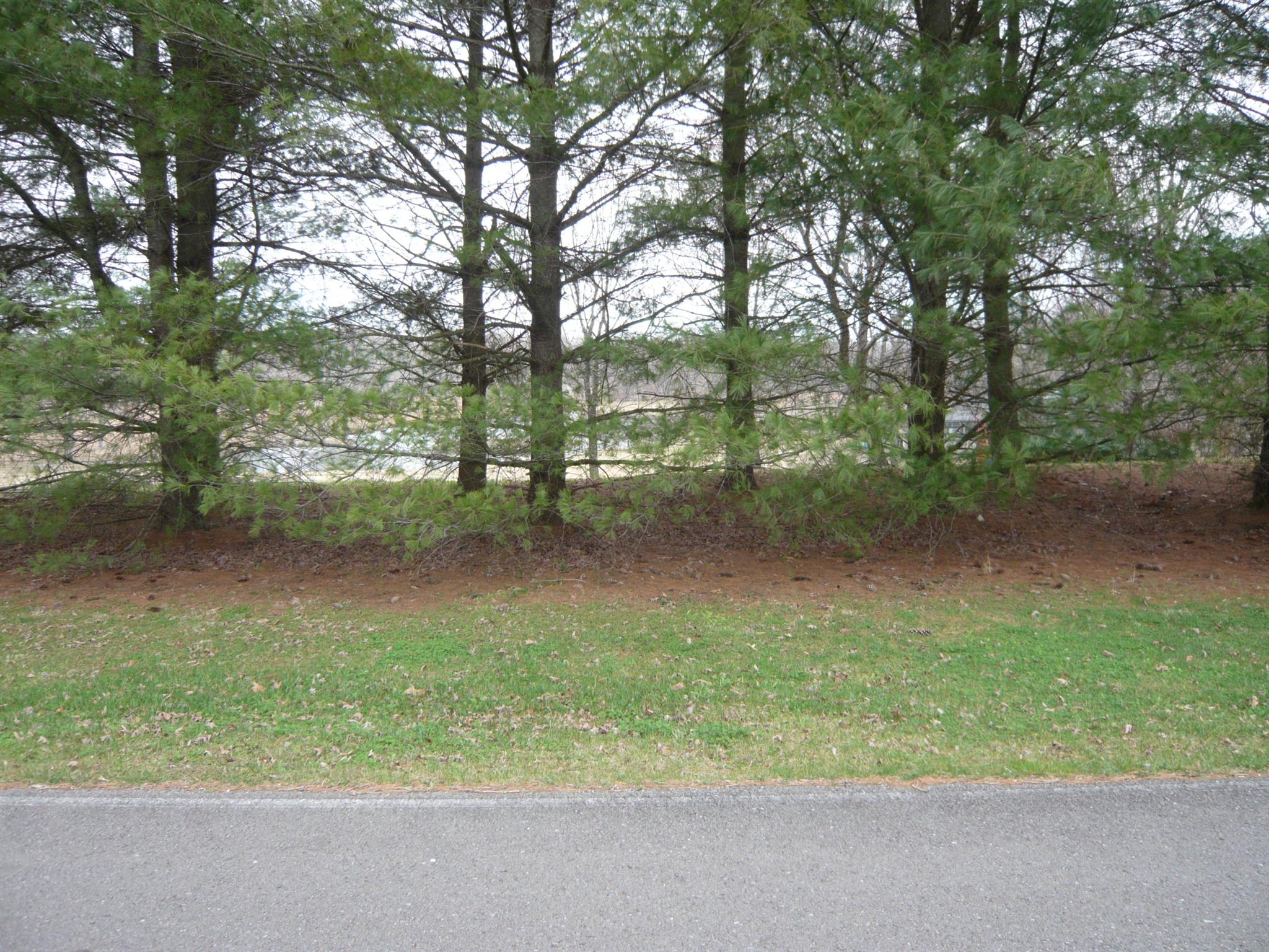 0 Motlow College Road Normandy, TN 37360 - Photo 3 of 5 Gallery Image 3