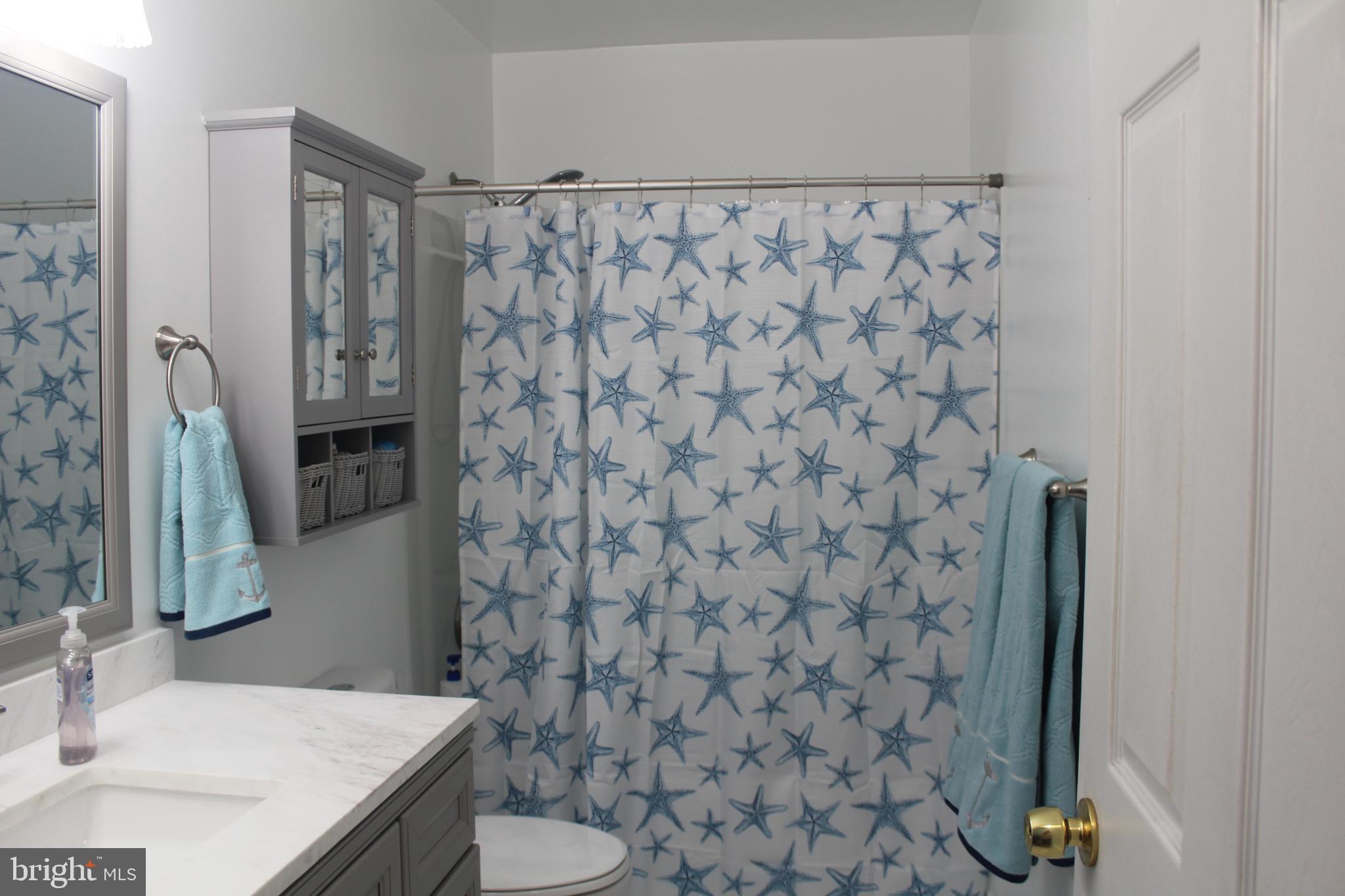 110 Poplar Road New Cumberland, PA 17070 - Photo 16 of 24 Remodeled Bath