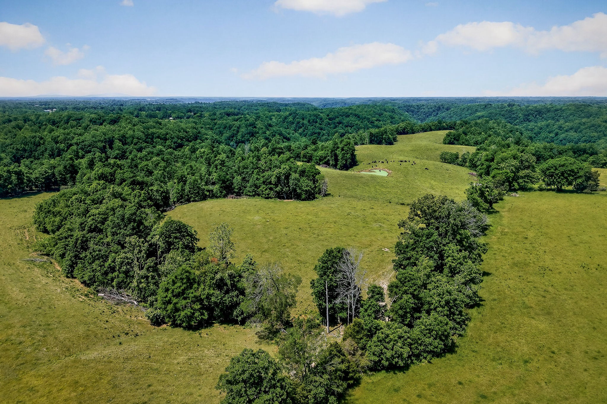 8495 Baxter Road Baxter, TN 38544 - Photo 13 of 62