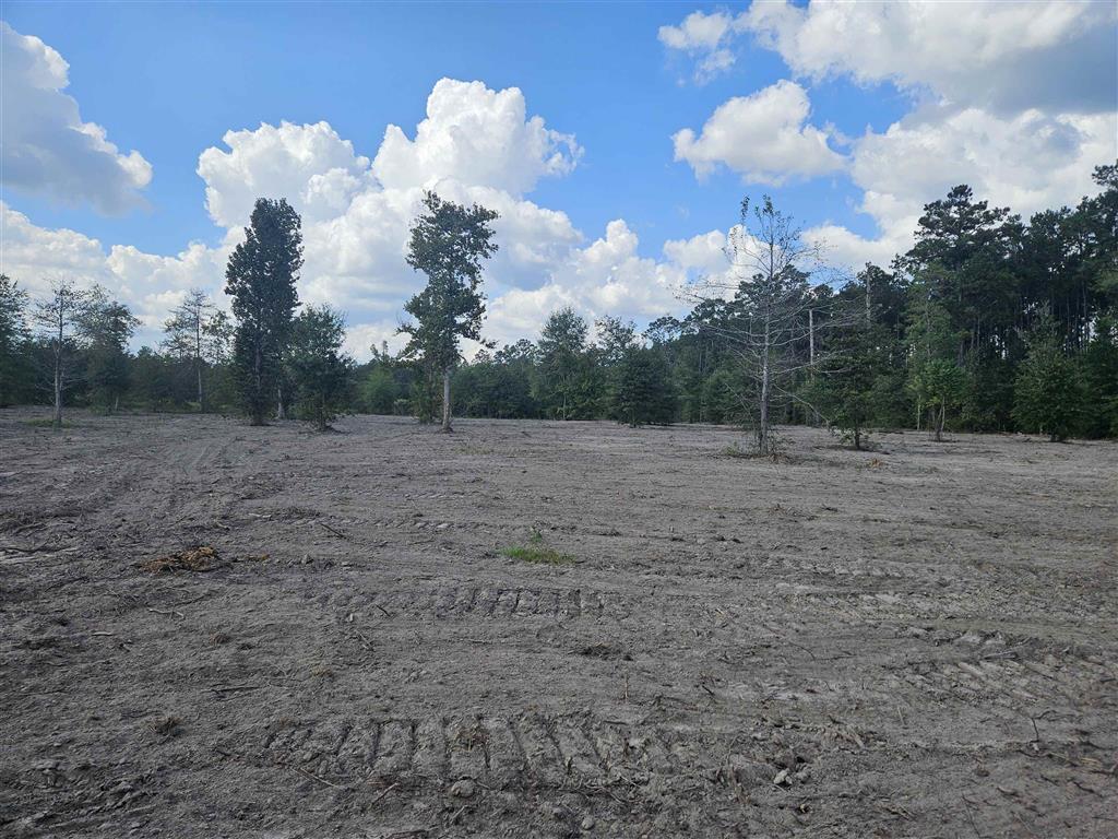 Marcantel Road Dequincy, LA 70633 - Photo 3 of 5