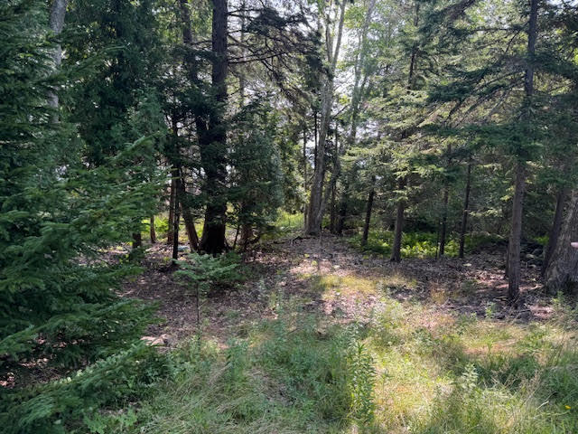 Lot C Long Point Road Harpswell, ME 04079 - Photo 36 of 36 unnamed-3
