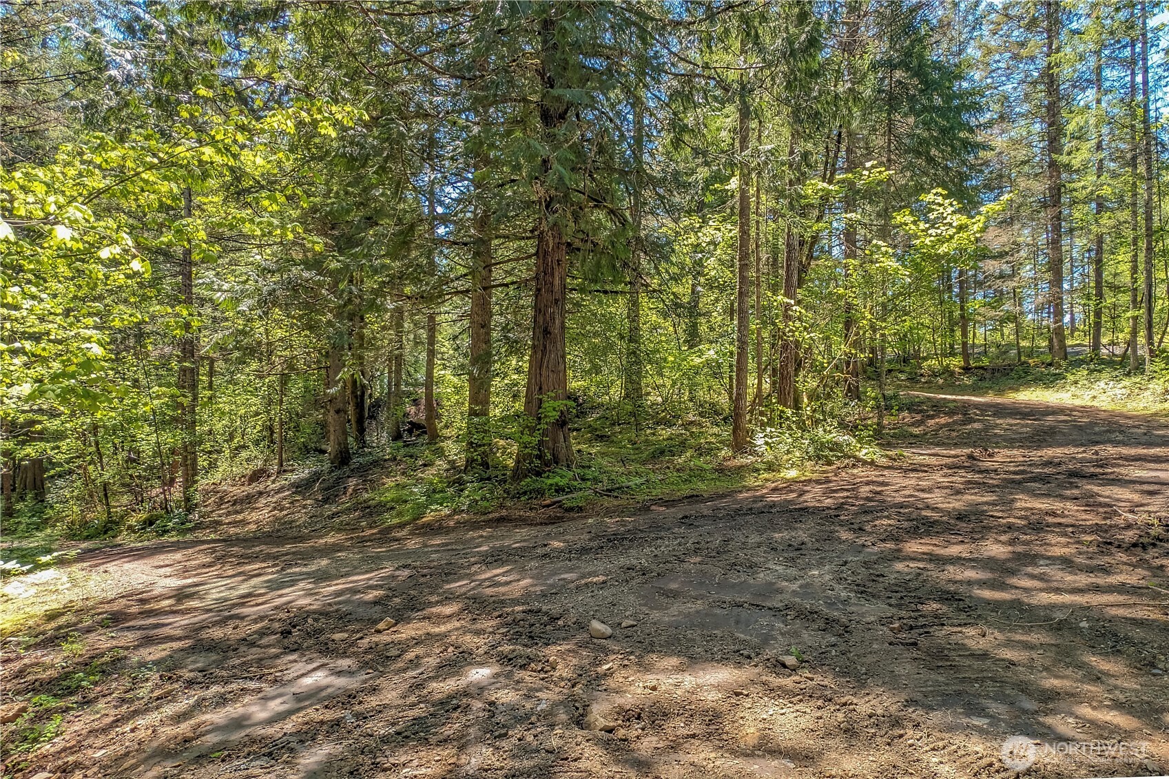 372-30 Craig Road Packwood, WA 98361 - Photo 2 of 13 Gallery Image 2