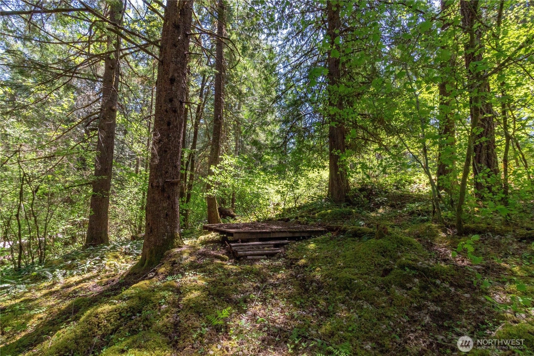 372-30 Craig Road Packwood, WA 98361 - Photo 5 of 13 Gallery Image 5