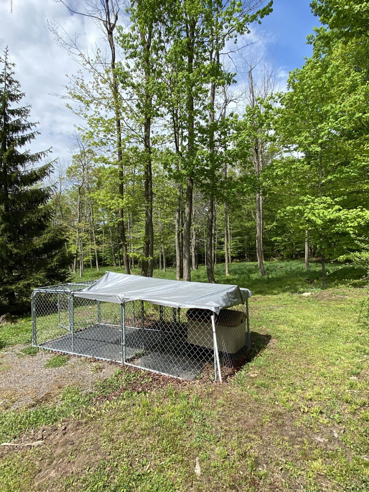 916 Ravnikar Road Forest City, PA 18421 - Photo 36 of 47 Kennel /Yard