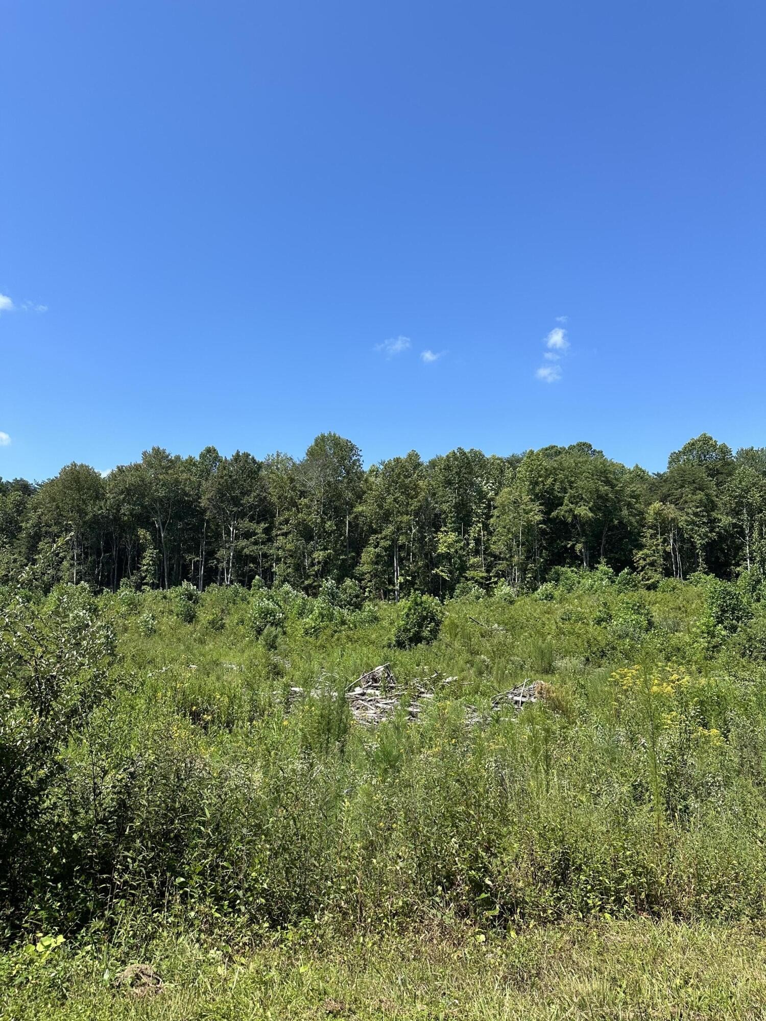 a view of a lush green space with sea