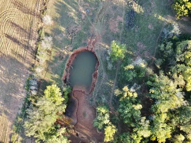 a view of an outdoor space and yard