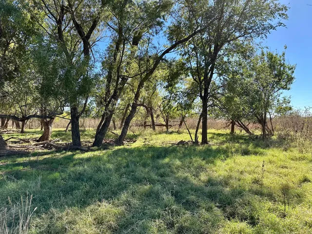 a view of a golf course with a tree