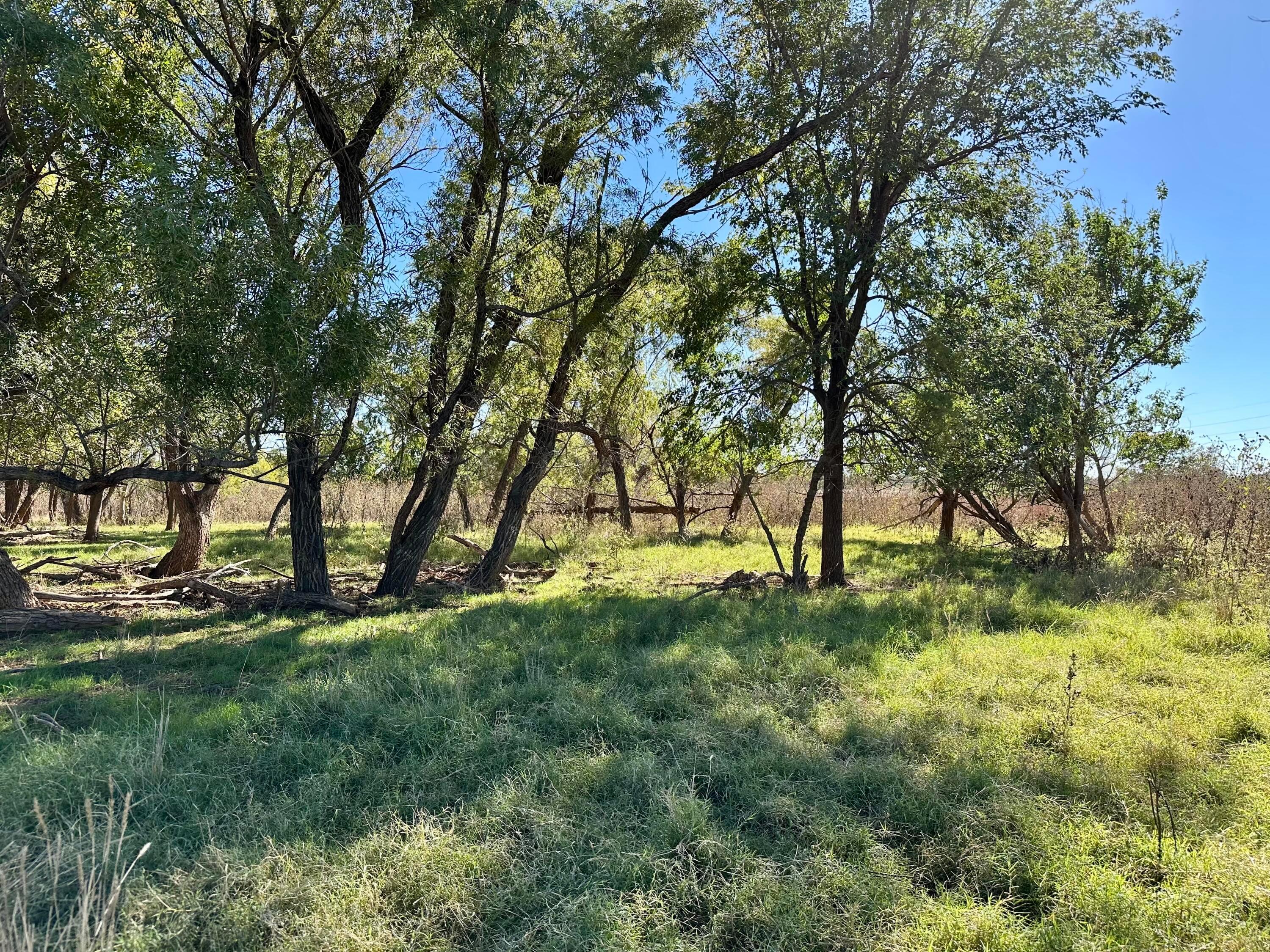 70 State Highway 70 Turkey, TX 79261 - Photo 17 of 28 a view of backyard with green space