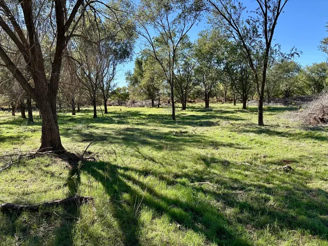a big yard with lots of green space and trees