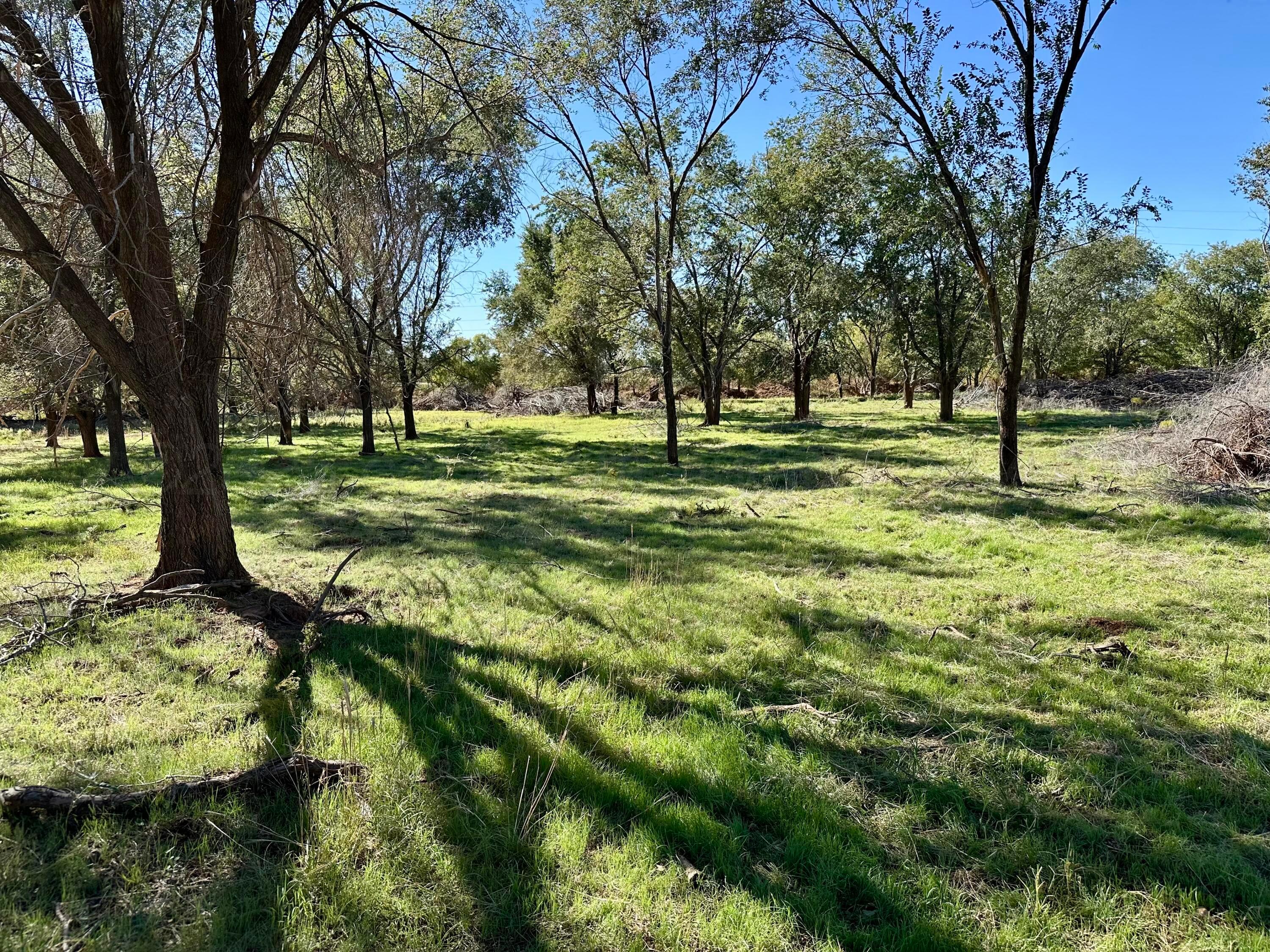 70 State Highway 70 Turkey, TX 79261 - Photo 18 of 28 a view of a golf course with a tree