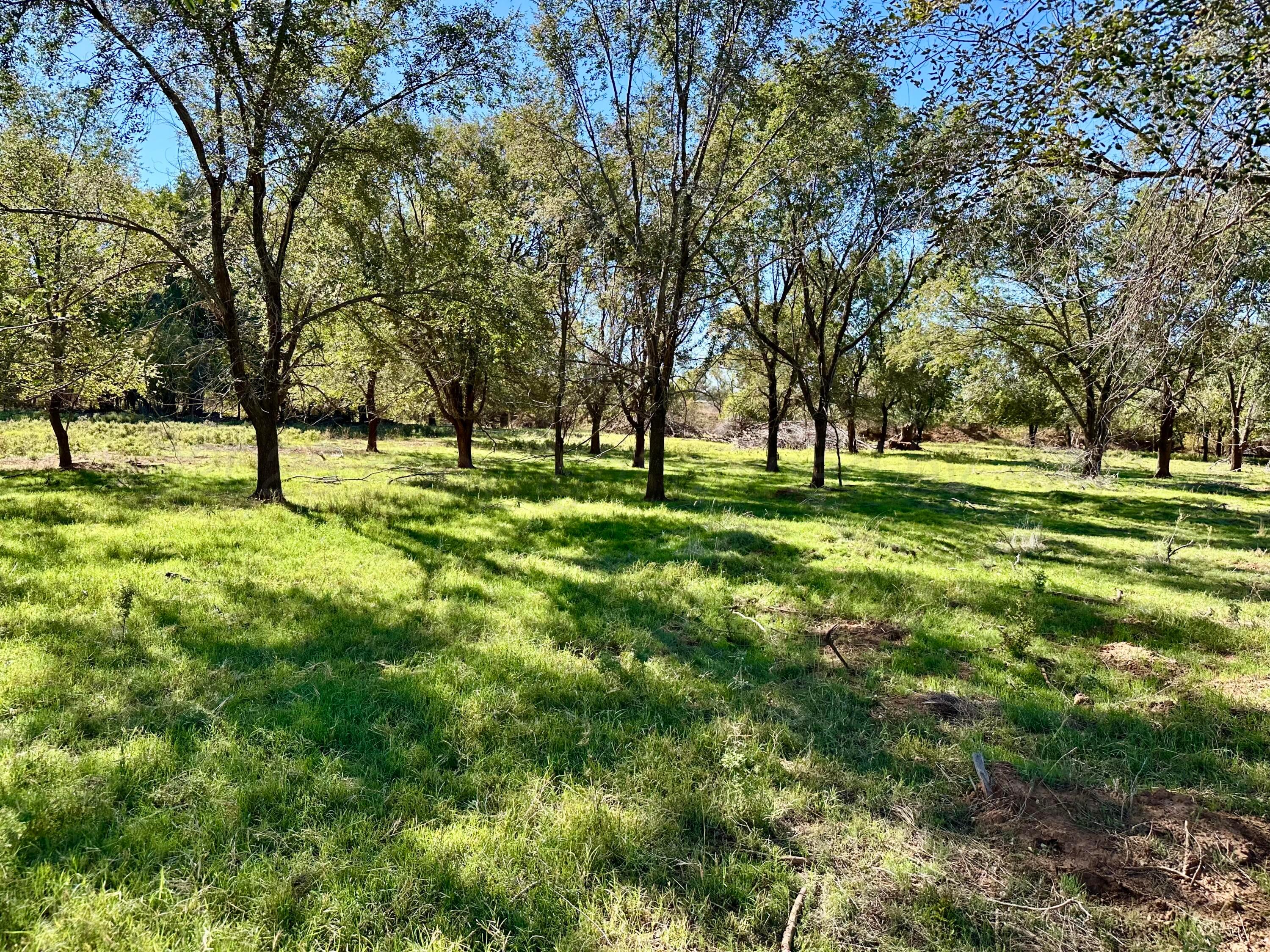 70 State Highway 70 Turkey, TX 79261 - Photo 19 of 28 a big yard with lots of green space and trees